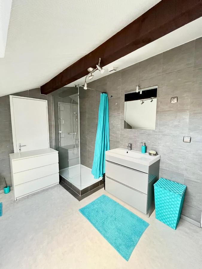 Pin'S - Magnifique Appartement Sarrebourg Eksteriør bilde