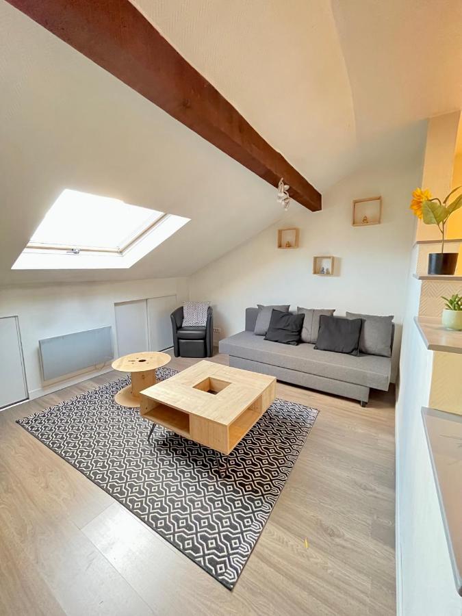 Pin'S - Magnifique Appartement Sarrebourg Eksteriør bilde