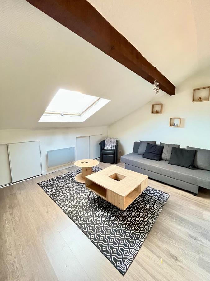 Pin'S - Magnifique Appartement Sarrebourg Eksteriør bilde
