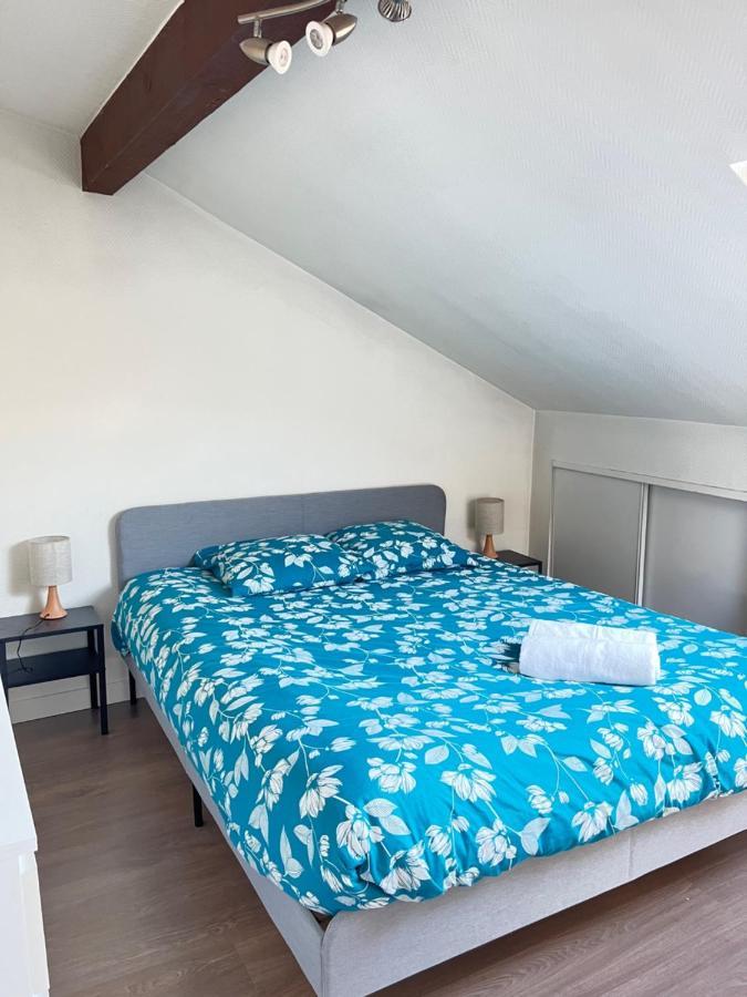 Pin'S - Magnifique Appartement Sarrebourg Eksteriør bilde