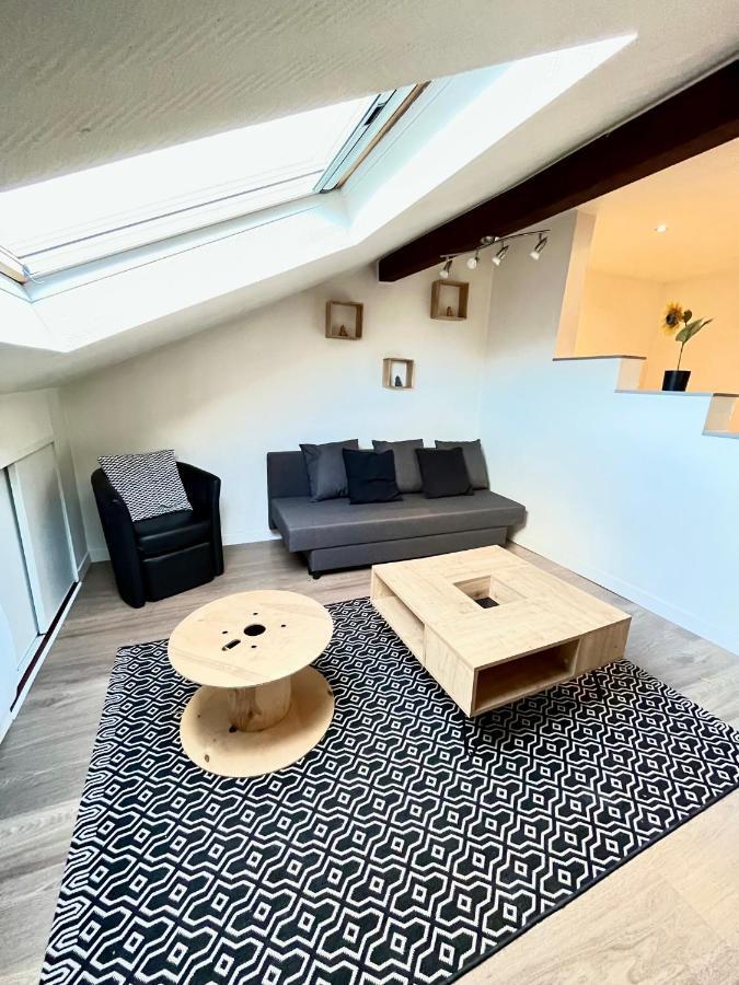 Pin'S - Magnifique Appartement Sarrebourg Eksteriør bilde